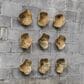 Uttermost Tamarine Wall Art (Set of 3), , large