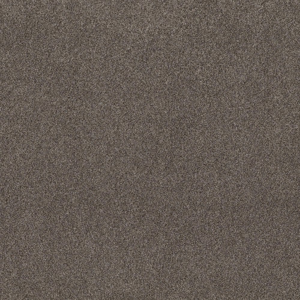 Shaw Live on Comfort Carpet in Woodcliff Brown, , large