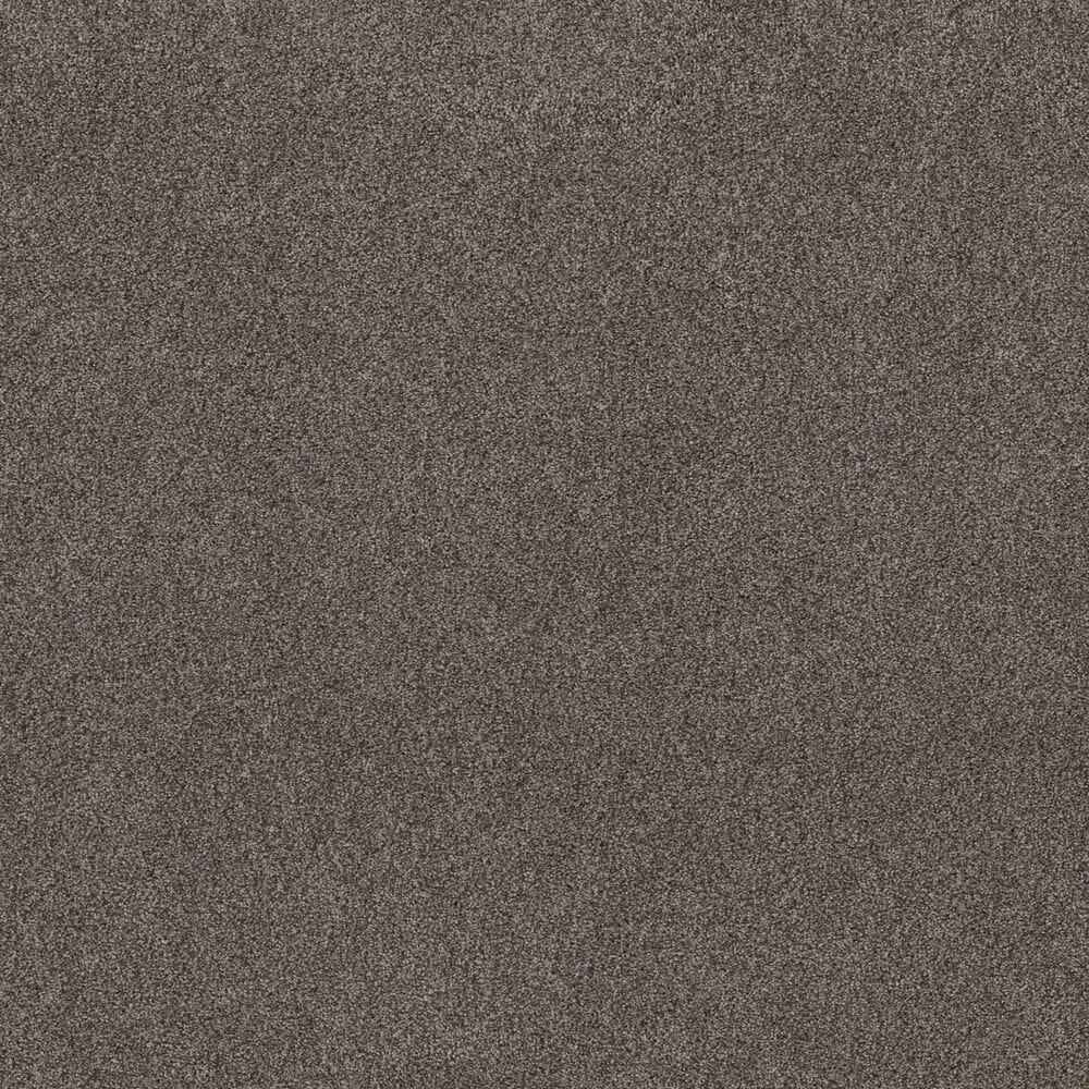 Shaw Live on Comfort Carpet in Woodcliff Brown, , large