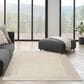 Nourison Andes AND05 3"11" x 5"11" Ivory and Grey Area Rug, , large