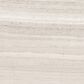 Shaw Vision Ash 12" x 24" Polished Ceramic Tile, , large