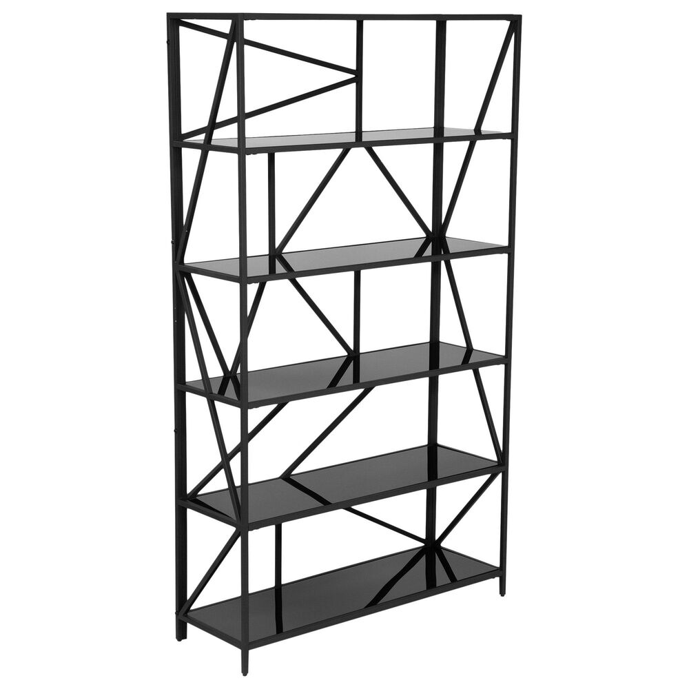 Furniture of America Steward 5 Shelves Bookcase in Black, , large