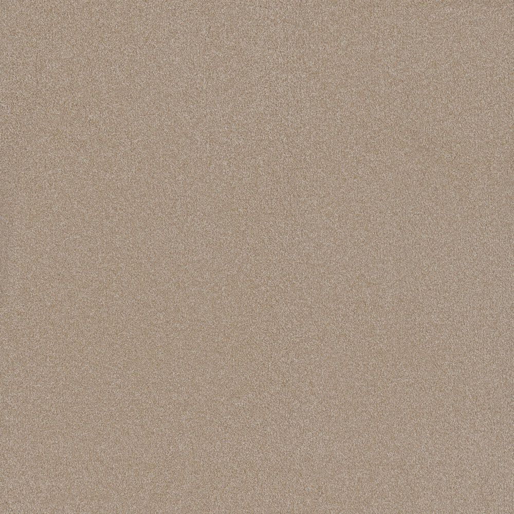 Lexmark Carpet Mills Embellish Carpet in Carved, , large