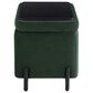 Lifestyle Solutions Kona Small Storage Ottoman in Green, , large