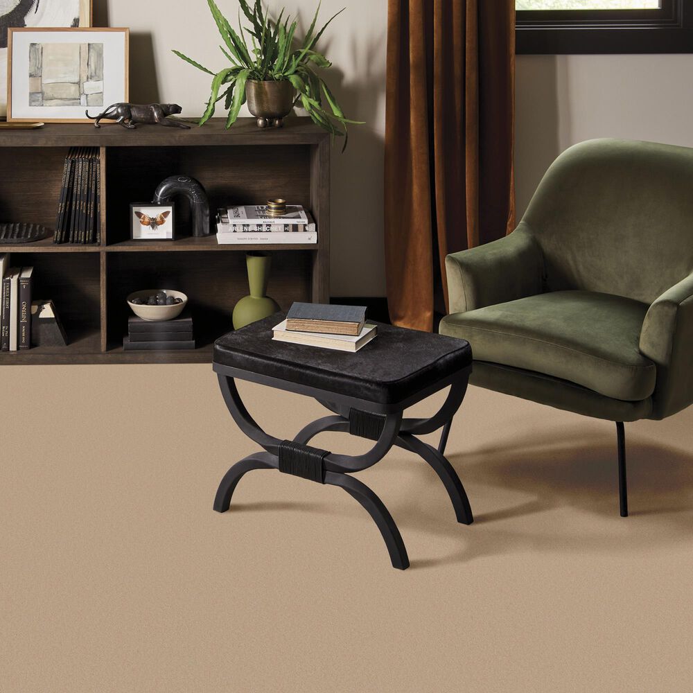 Anderson Tuftex Finery Carpet in Sunkissed, , large