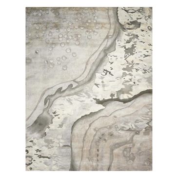 Nourison Prismatic PRS05 3"9" x 5"9" Silvercloud Area Rug, , large