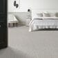 Anderson Tuftex Ambitious Carpet in Serenity, , large