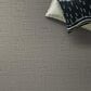 Anderson Tuftex Path Carpet in Vapor, , large