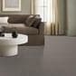 Shaw Transform Carpet in Steel Beam, , large
