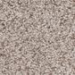 Anderson Tuftex Sumptuous II Carpet in Granite Dust, , large