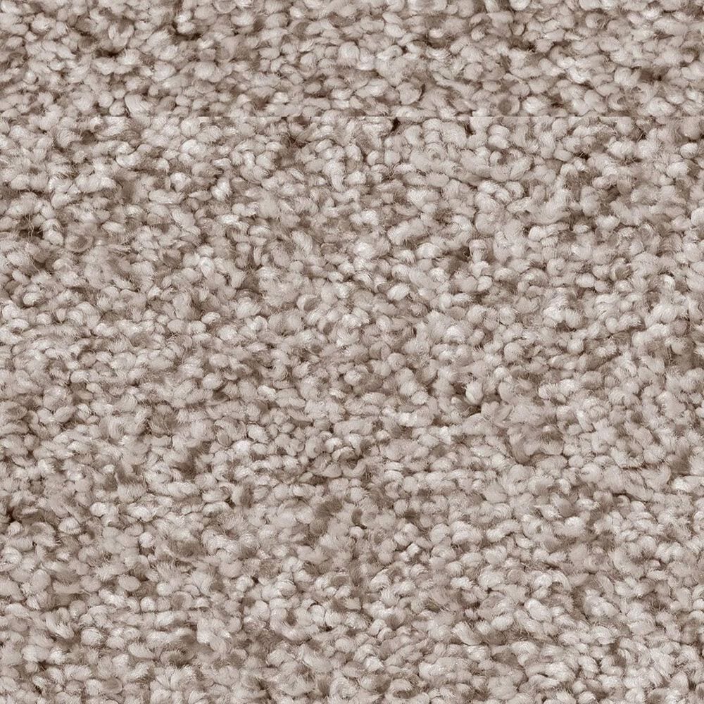 Anderson Tuftex Sumptuous II Carpet in Granite Dust, , large