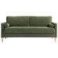 Lifestyle Solutions Langford Stationary Velvet Sofa in Olive, , large