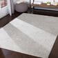 Surya Aisha AIS-2306 6"7" x 9"6" Light Gray and Off-White Area Rug, , large