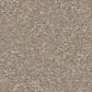 Shaw Awaken Spirit II 15" Carpet in Neutral Ground, , large
