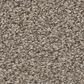Shaw Tweed Comfort I Carpet in Stroke of Luck, , large