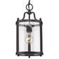 Golden Lighting Payton 1-Light Mini Pendant in Matte Black, , large