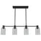 Hunter Lochmeade 4-Light Linear Chandelier in Natural Iron, , large