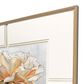 Paragon 42" x 48" A Rose Is A Rose Wall Art in White, , large