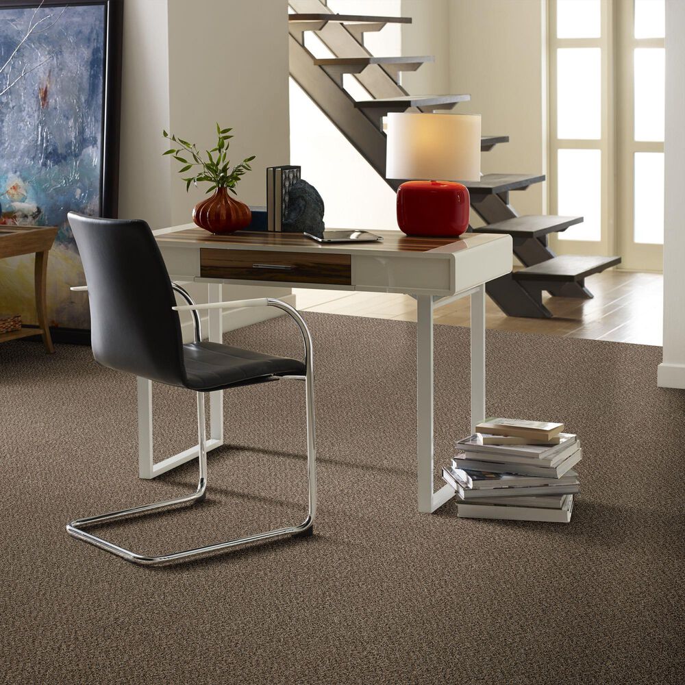 Philadelphia Mixed Essentials Carpet in Raw Wood, , large
