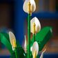 LEGO Botanicals Peace Lily Building Set, , large