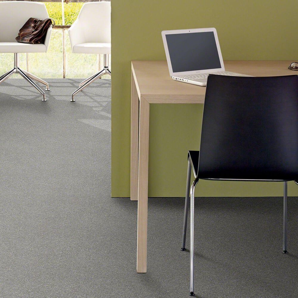 Philadelphia Basic Rules Carpet in Sterling, , large