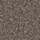 Shaw Imaginable III Carpet in French Roast, , large