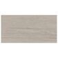 Dal-Tile Haddonstone Horizon Rectangle Ridge 12" x 24" Porcelain Tile, , large