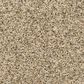 Mohawk Diffurent Choice III Carpet in Bisque, , large