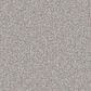 Phenix Oasis Platinum Carpet in Antelope, , large