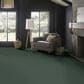 Anderson Tuftex Finery Carpet in Grove, , large