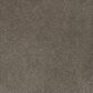 Dream Weaver Serene II Carpet in Ridgeview, , large