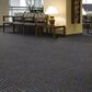 Shaw High Voltage 24" x 24" Carpet Tile in Transformer, , large