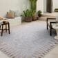 Amber Lewis x Loloi Topanga 9"2" x 12" Silver and Natural Indoor/Outdoor Area Rug, , large