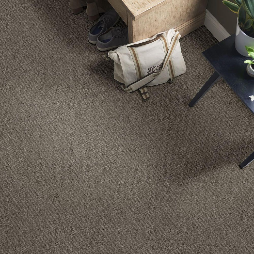 Shaw Foundations Complete Control Carpet in Front Gate, , large