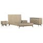 Blue River Baly 4-Piece Queen Platform Bed Set in Gray Sandblast Summer, , large