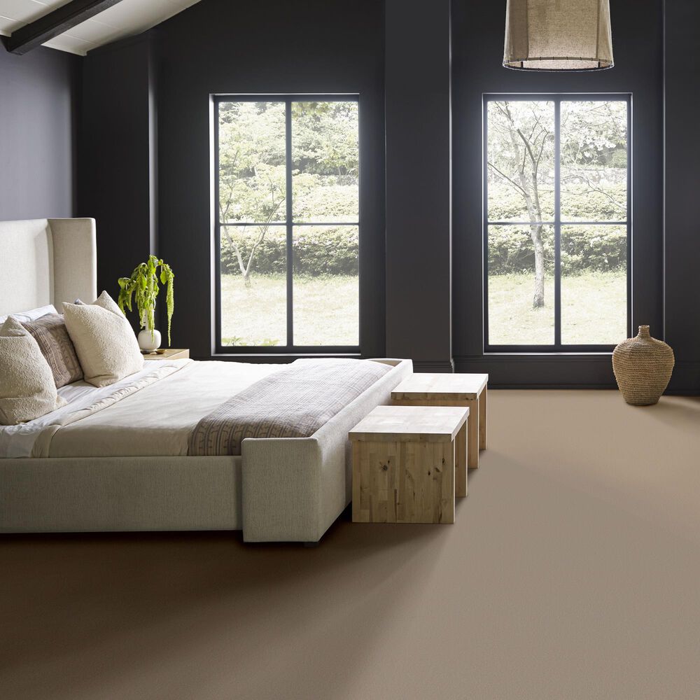 Anderson Tuftex Finery Carpet in Dusty Trail, , large