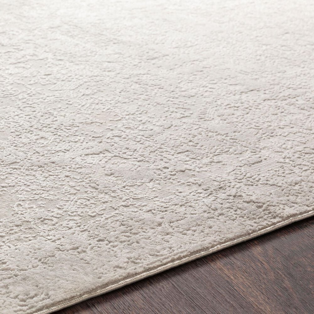 Surya Aisha AIS-2306 2&#39; x 2&#39;11&quot; Light Gray and Off-White Area Rug, , large