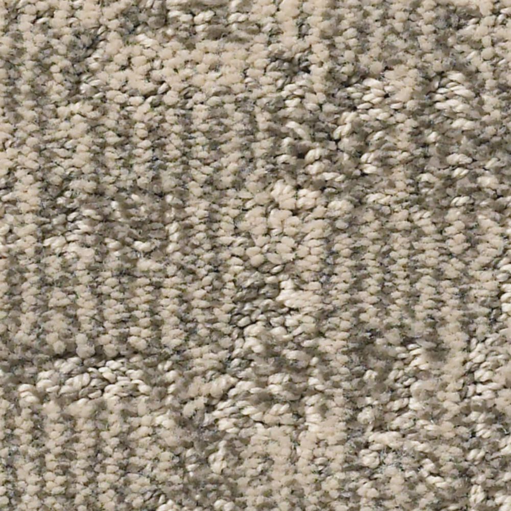 Anderson Tuftex Paw-Tay Carpet in Danville, , large