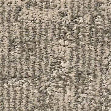 Anderson Tuftex Paw-Tay Carpet in Danville, , large
