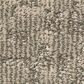 Anderson Tuftex Paw-Tay Carpet in Danville, , large