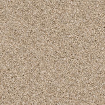 Dixie Home Trapper Carpet in Bulldog, , large