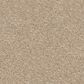 Dixie Home Trapper Carpet in Bulldog, , large
