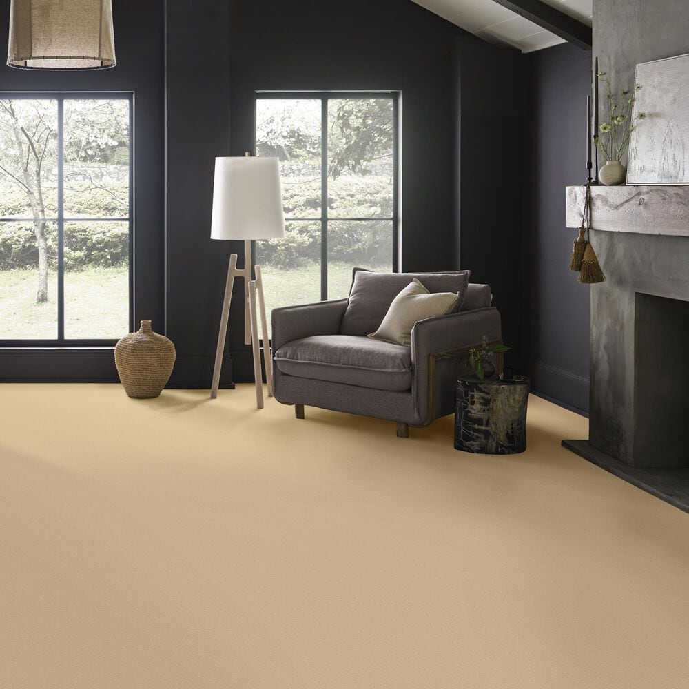 Anderson Tuftex Finery Carpet in Fresh Cream, , large
