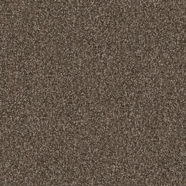 Dixie Home Guard Carpet in Pinscher, , large
