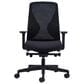 Raynor Group Launch Ergonomic Office Chair in Black, , large