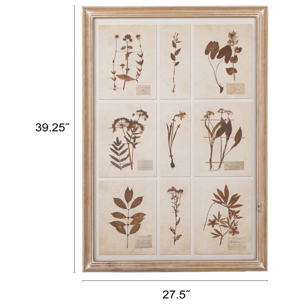 Creative Coop Herbalist 39.25" x 27.5" Botanicals Print Wall Art in Multicolor, , large