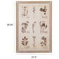 Creative Coop Herbalist 39.25" x 27.5" Botanicals Print Wall Art in Multicolor, , large
