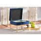 Baxton Studio Aliana Storage Ottoman in Navy Blue/Gold, , large