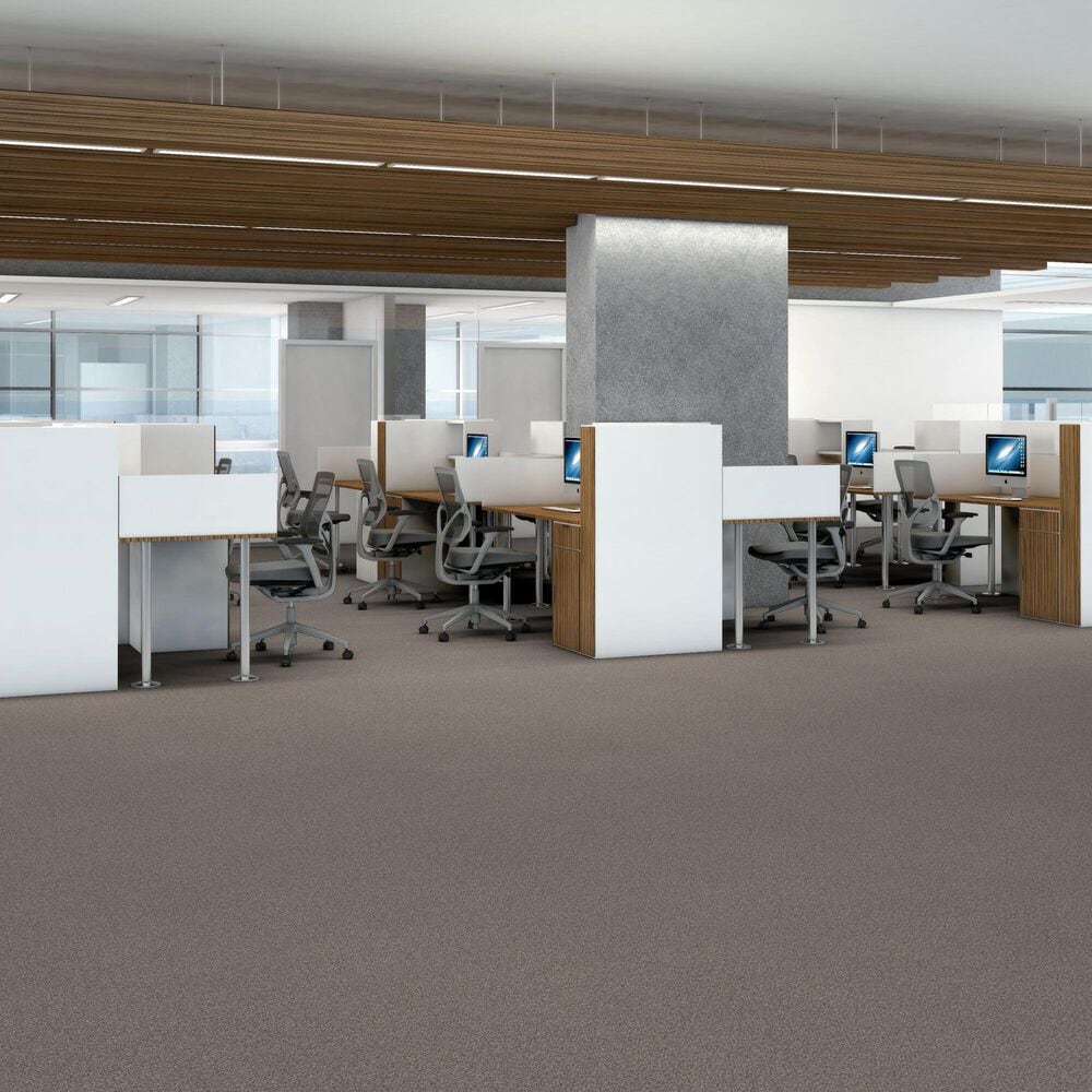 Shaw Trusplendor Carpet in Concrete, , large