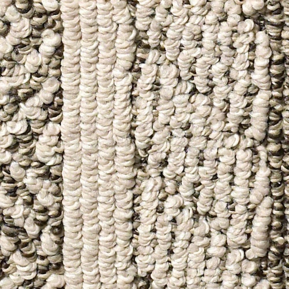 Anderson Tuftex Speak Carpet in Desert Palm Nebraska Furniture Mart